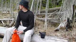 Spring Survival - Canadian Forests Part 2