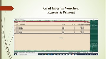 Tally TDL - Grid lines in Tally (Reports, Printout & Voucher)