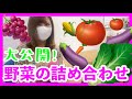 【大公開】野菜の詰め合わせセット！