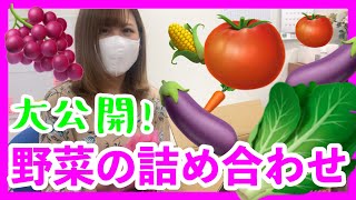 【大公開】野菜の詰め合わせセット！