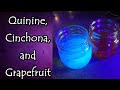 Quinine, Cinchona, and Grapefruit