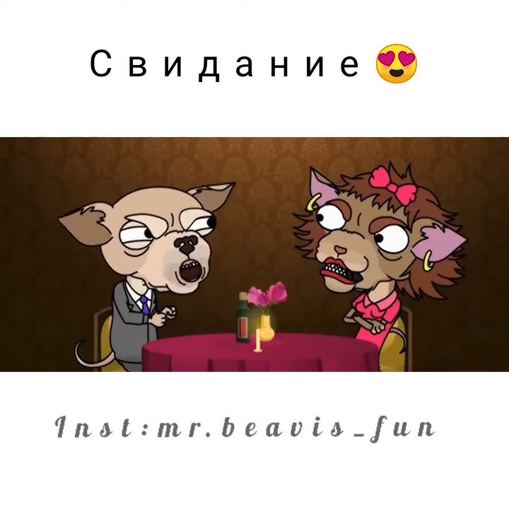 Подозрительная сова - YouTube