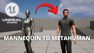 Как заменить манекен метачеловеком в Unreal Engine 5