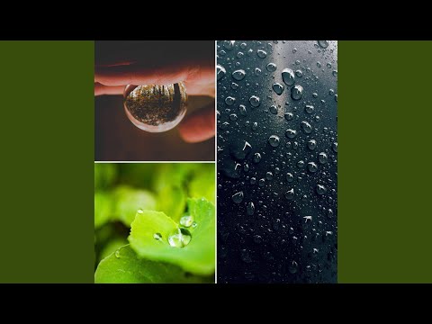 Distinguished Ambience for Rain Stories