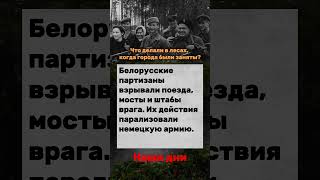 Партизанская война в Беларуси #партизаны #Беларусь #ВОВ #shorts