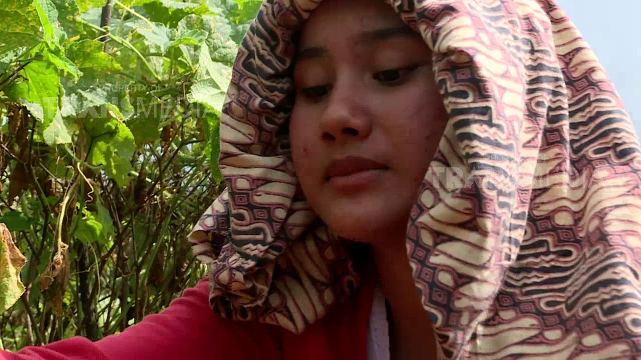 BOCAH PETUALANG - MUTIARA DARI ACEH SELATAN (8/5/17) 3-1