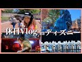 【Vlog】アメリカのディズニー行ったら世界観が凄すぎた!