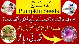 Kadu Ke Beej Pumpkin Seeds Mardana Taqat Aur Sehat Ke Liye Faide Ya Nuqsan? Asli Haqeeqat