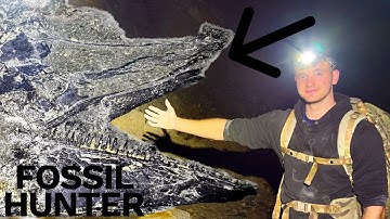 Day Into Night Fossil Hunting! FISH Fossil! | Fossil Hunter