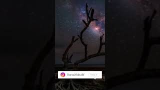 Perseid Meteor Yağmuru