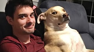 When your brother's name is dog 🤣 Funny Dog and Human by Funny Pet's Life 256,492 views 2 weeks ago 9 minutes, 36 seconds