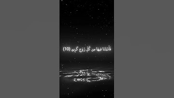 خلق السموات بغير عمد ترونها بصوت الشيخ ياسر الدوسري | سورة لقمان