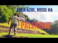 Qué hacer en Palenque | Cascadas Agua Azul Chiapas | Cascada de Misol Ha