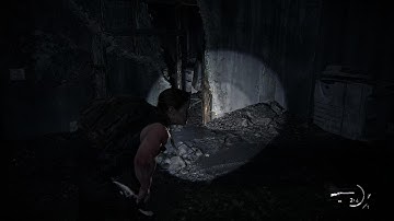 The Last of Us Part II Remastered - Abby vs Shamblers, Clickers and Runners