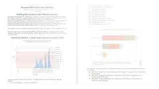 Deltek Acumen Risk