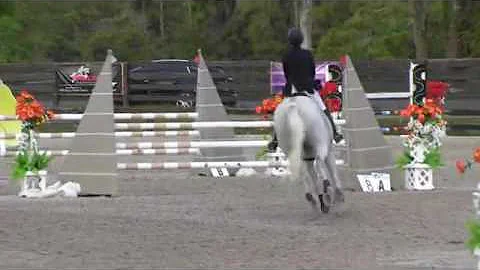Video of BAHAMA BOY ridden by EILEEN O'LEARY from ...