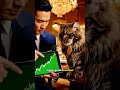 Kucing Orang Kaya Lebih Pinter dari Kita Semua!