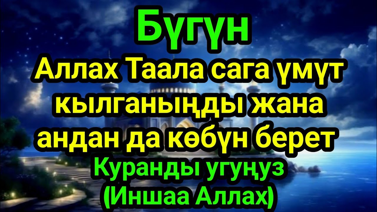Куранды угуңуз | Аллах Таала сага үмүт кылганыңды жана андан да көбүн берет (Иншаа Аллах)