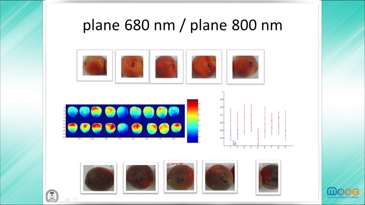 MOOC Frutura technlologies 5.2: Multispectral and hyperspectral vision (III) politécnica slp