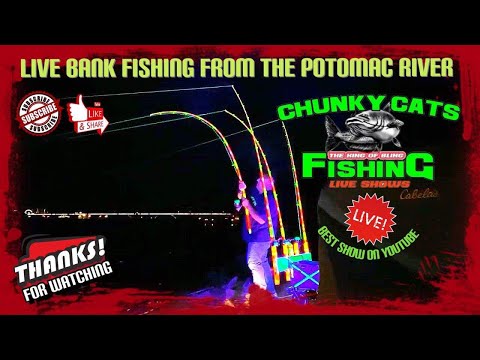 Chunky Cats Fishing Thursday Night Monster Catfish Show live from the banks  of the Potomac River 