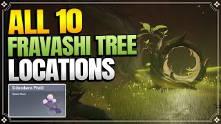 All Fravashi Tree Locations | Udumbara Pistil |【Genshin Impact】