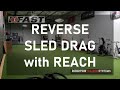 Reverse Sled Drag with Reach