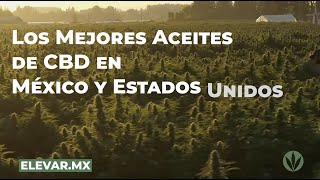 Los Mejores Aceites de CBD en México y Estados Unidos