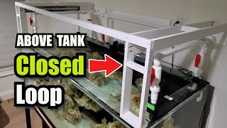 Reef Tank Closed Loop Flow: Design, Setup, and Maintenance for SPS, LPS Corals