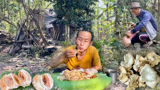 #how I Spent My Day alone In Farm | Special Mushroom Curry 🤤😋| @achenvlogs