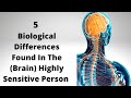 5 brain differences found in the highly sensitive person hsp highlysensitivepeople hsp