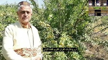 ماتيسر من سورة يس - القارئ محمد جباري