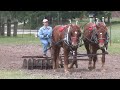 Texas Draft Horse and Mule Association Field Day 2018