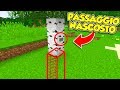 Minecraft ITA - IL MIGLIOR PASSAGGIO SEGRETO!!