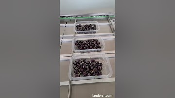 Automatic MAP tray sealing packaging line with metal detector, automatic weighing labeling machine