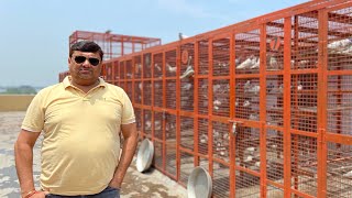 One Of The Best And Biggest Pigeon Loft With Old Indian Breeds Of Neeraj Maheshwari Aligarh UP India