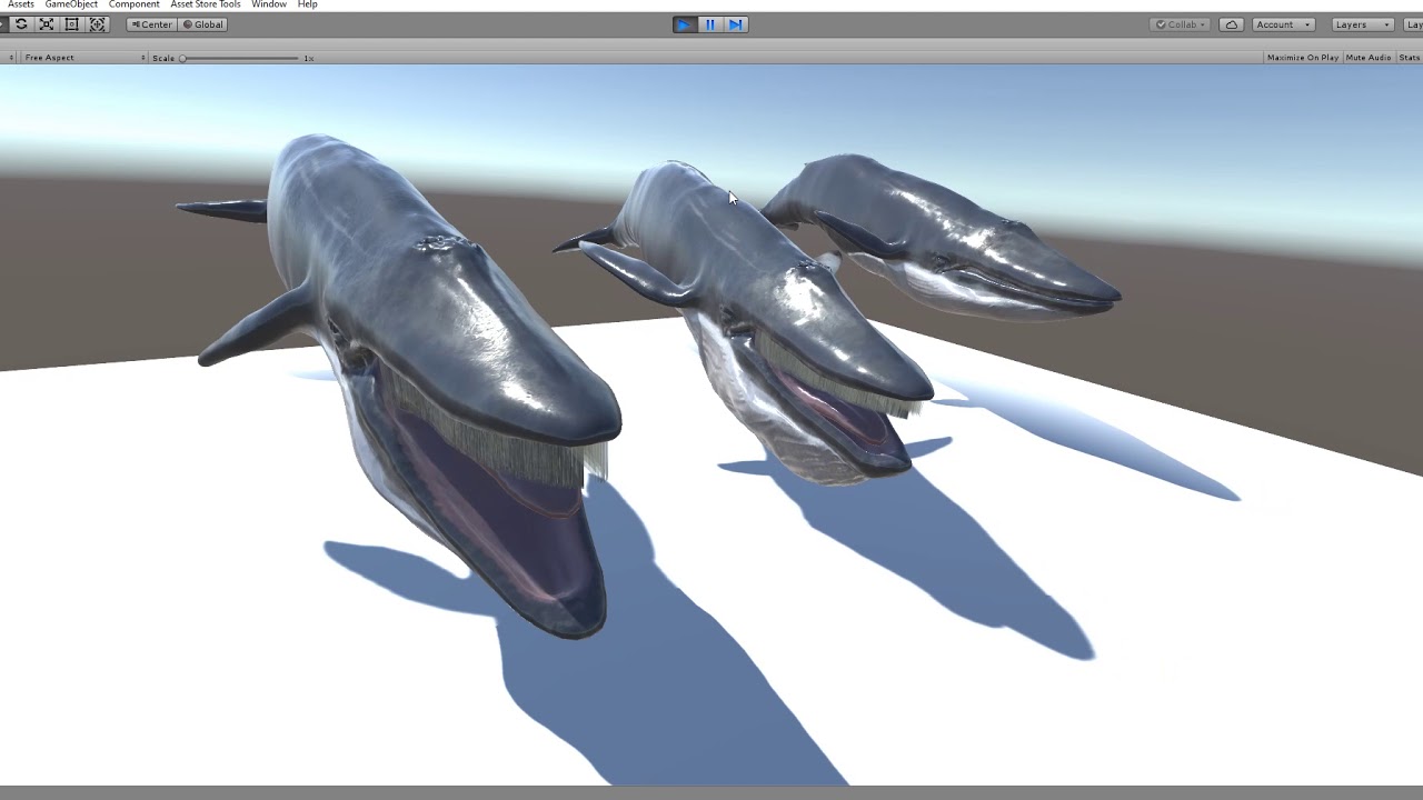 Unity Whale Blue Whale UNITY -fbx animations add - YouTube