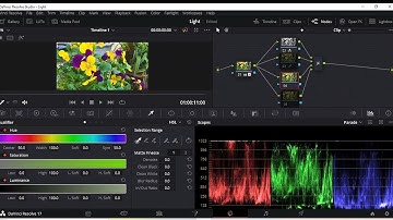 Tách Màu Video và KeyFrame Color Page Cơ Bản Trên Davinci Resolve 17