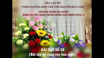 VNT. BÀI TẬP SỐ 3 - BÀI TẬP BỔ SUNG BAN NGÀY