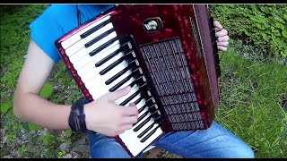 The Witcher 3 Blood and Wine Soundtrack Accordion (On the Champs-Désolés)
