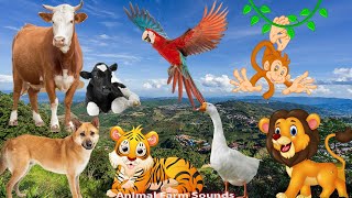 The Lives of Animals Around Us: Dog, Cat, Cow, Tiger, Lion, Elephant, Duck, Monkey - Animal Sounds