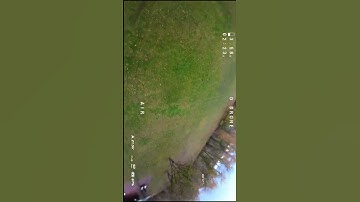 Powerloops - FPV Freestyle #drone #tree #fpv #fpvdrone #dji #fpv #nature #fpvfreestyle #shorts