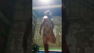 maaf muka aku gak kelihatan solanya lampunya eror