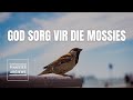 God Sorg vir die Mossies - Pinkster Argiewe