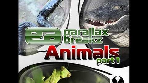 Parallax Breakz - Alligator