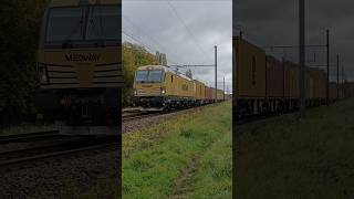 Beautiful golden💛 Medway vectron😍#trainspotting #medway #vectron