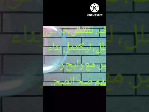 خمسة سياسة خدمة جديدة من قناتكم نقدر عقولكم نبذل الجهد من أجلكم