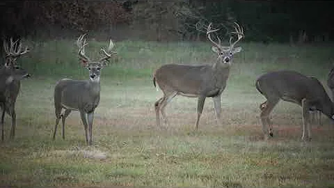 Terry Pugh out hunting @ ICC Trophy Whitetail Ranch