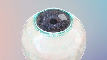The OMNI Surgical System by Sight Sciences (International)
