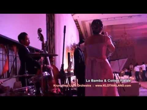 เพลงสากลสนุกๆ วงดนตรีงานแต่งงาน after party - La Bamba & Cotton Fields #KLO