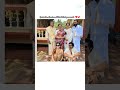 Rashmika Mandana celebrate her 30th birthday 🎂 with her family 👪#shortsfeed #viral #trending 🔥🔥#love